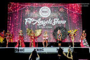 FIT-ANGELS 2 раунд